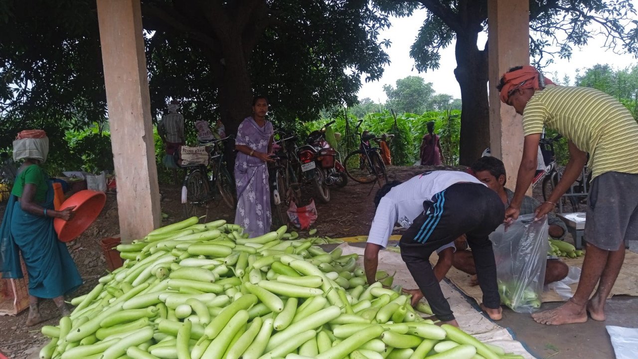 From Bihan to a New Path: 35 Women Farmers Grow 600 Quintals of Vegetables, Write a New Success Story