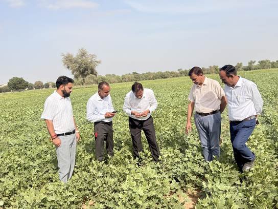 CAZRI Moth Bean Varieties Demonstrate Remarkable Resilience During El Niño Year