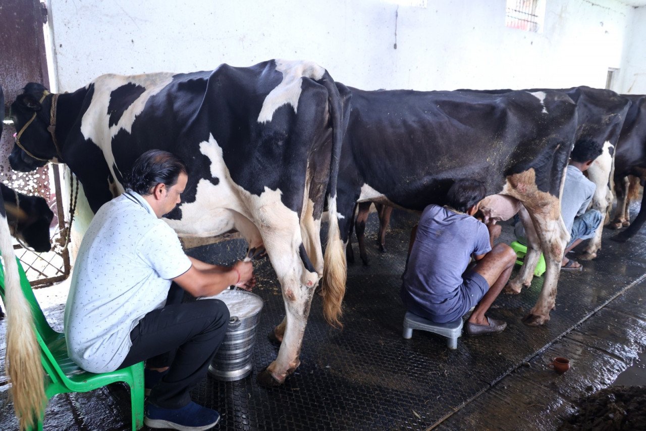 Seva Sankalp Abhiyan: Journey from Rs 1,200 to a 117-Animal Dairy Farm