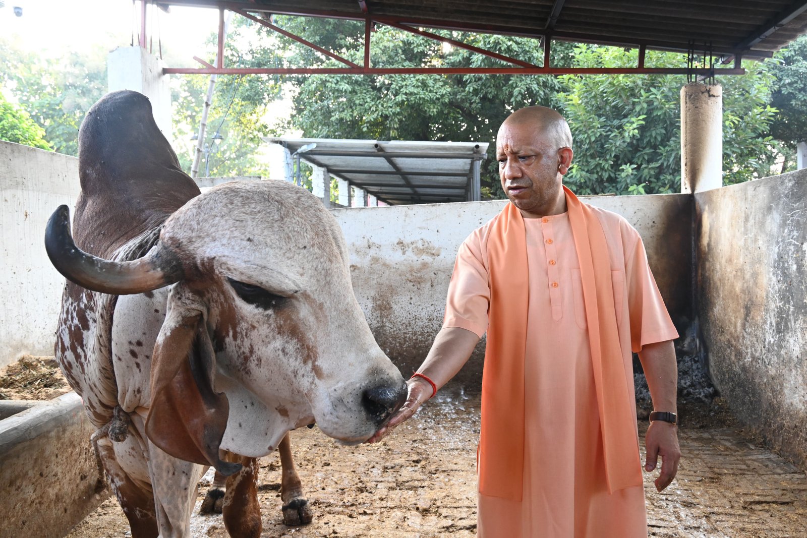 Strict action will be taken for negligence in grievance redressal: CM Yogi