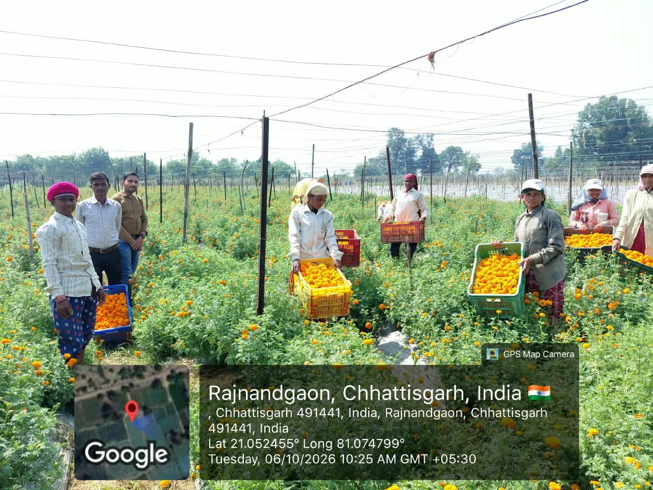 Farmer Ghanshyam Sahu Moves Towards Prosperity Through Floriculture