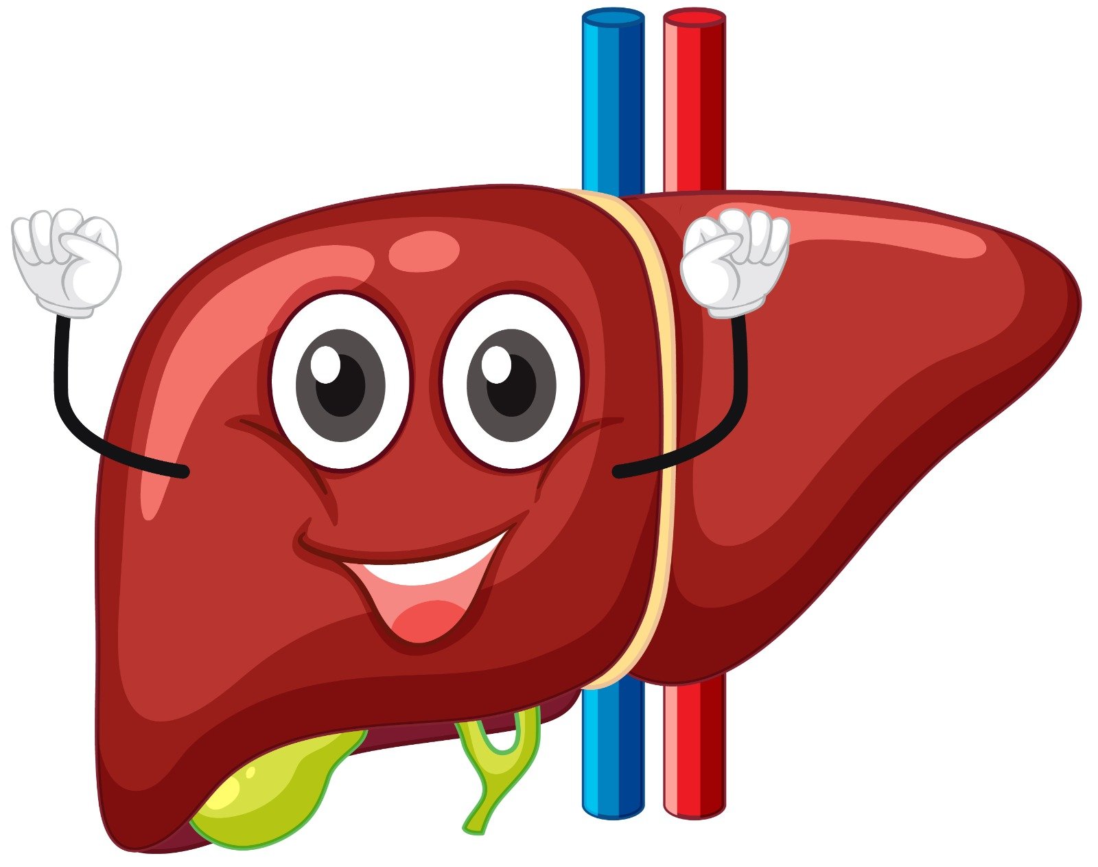 Can a Fatty Liver Return to Normal? What Weight Loss, Diet and Exercise Can Do