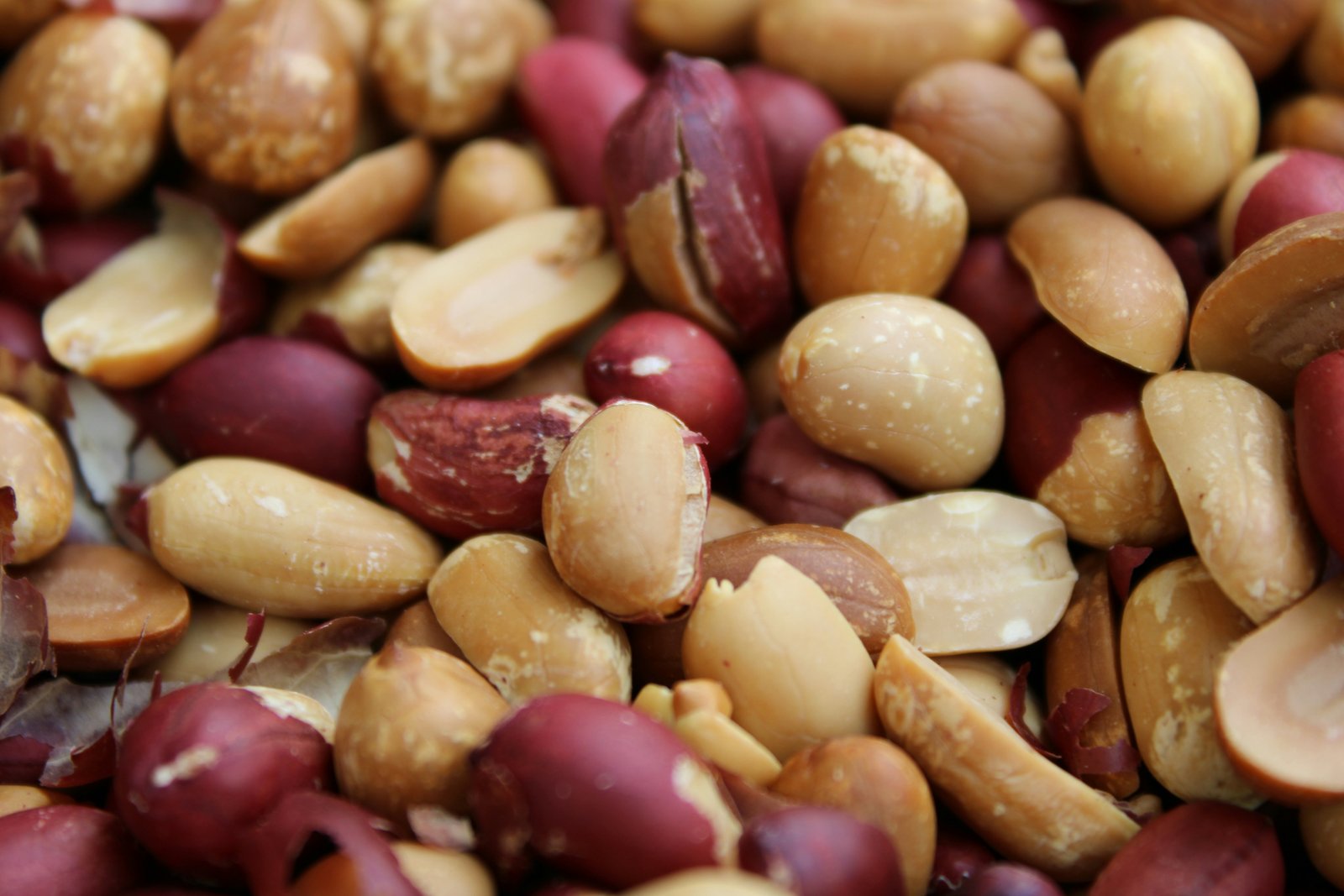 Peanuts May Help Improve Cholesterol Levels and Support Heart Health, Studies Suggest
