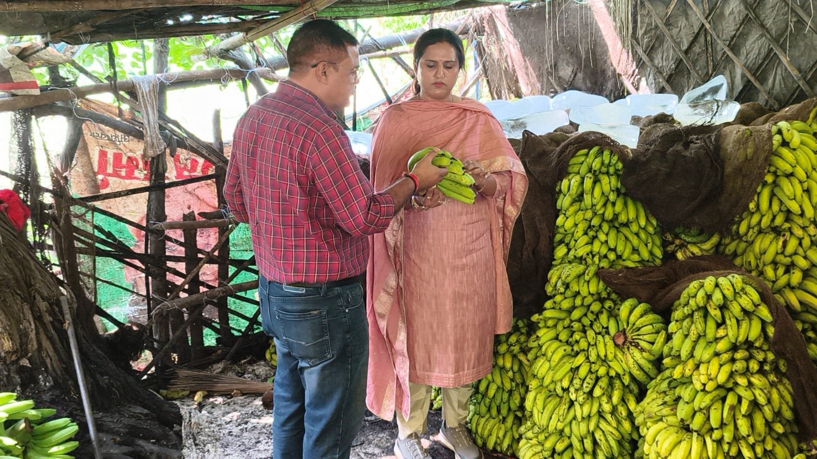 25 banana ripening centers found operating without licenses; FSDA's statewide inspection exposes violations
