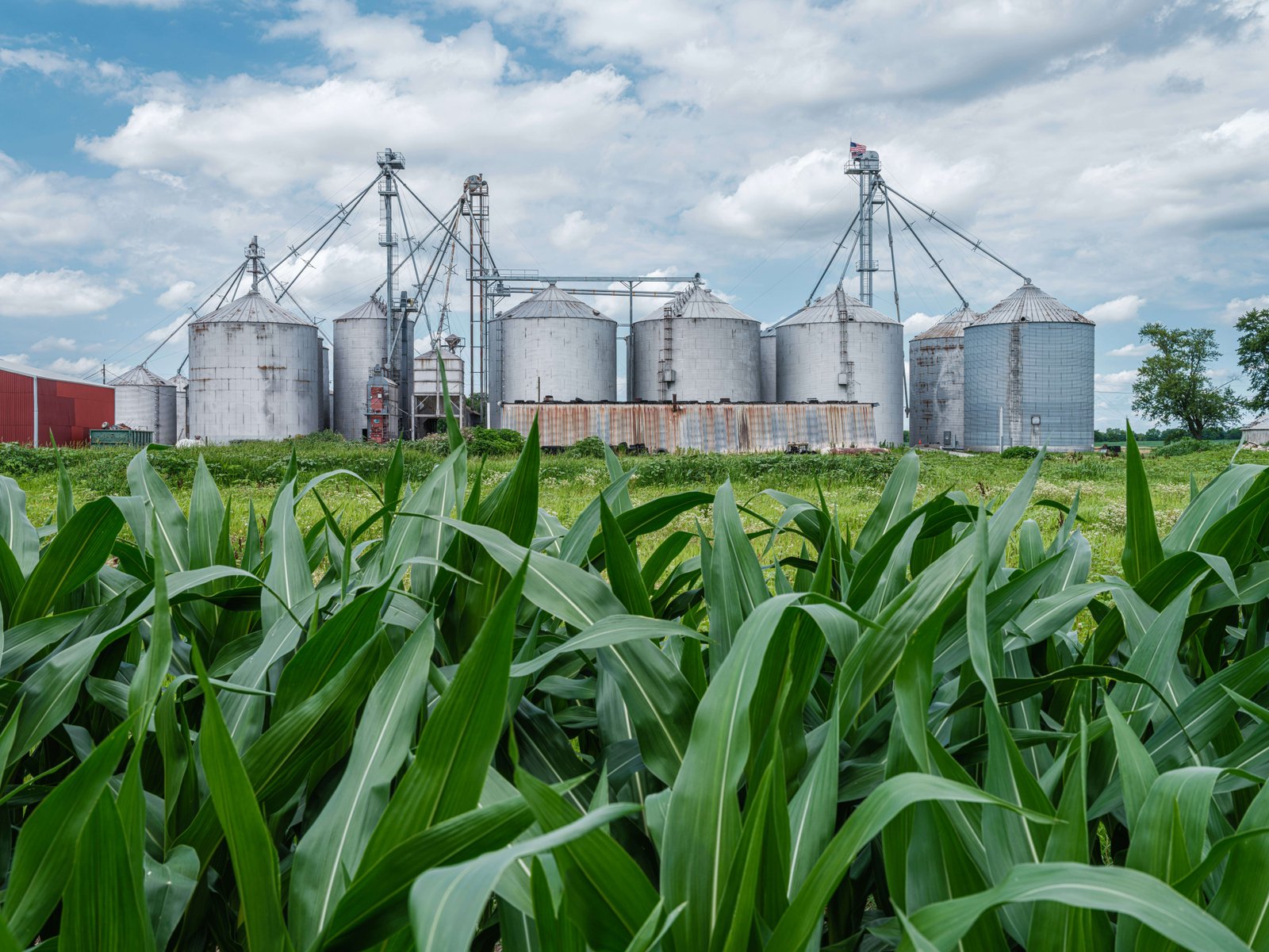 Centre Halts Sugar-Based Ethanol Procurement to Protect Domestic Sugar Supply