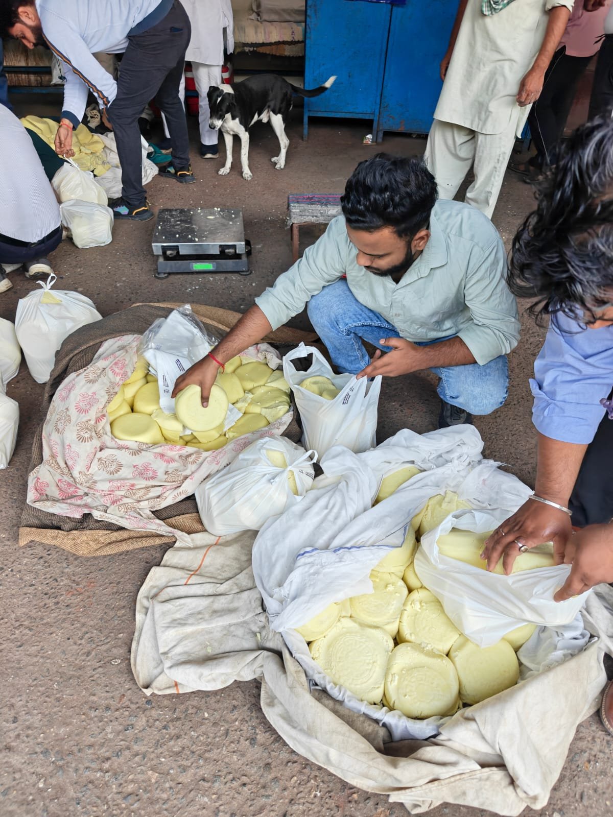 Rekha Gupta Government Crackdown on Adulteration During Festivals, Raids on Rasgulla Manufacturing Units in Nihal Vihar, 402 kg Food Items Destroyed