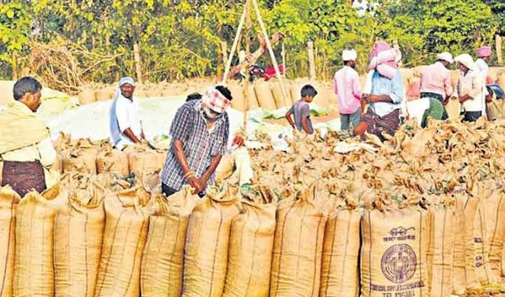 Telangana Paddy Prices Hit Record High of Rs 5,016 Per Quintal Amid Rising Demand