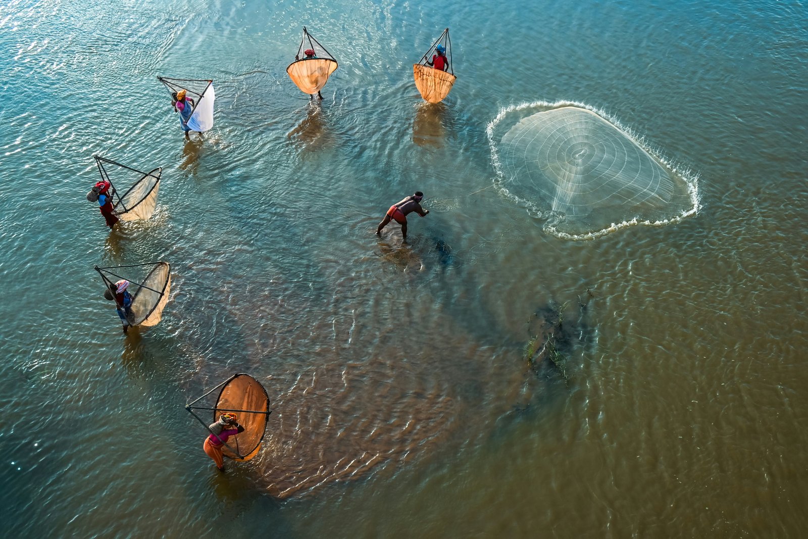 Online Application Facility Now Available for 24 Fisheries Department Schemes