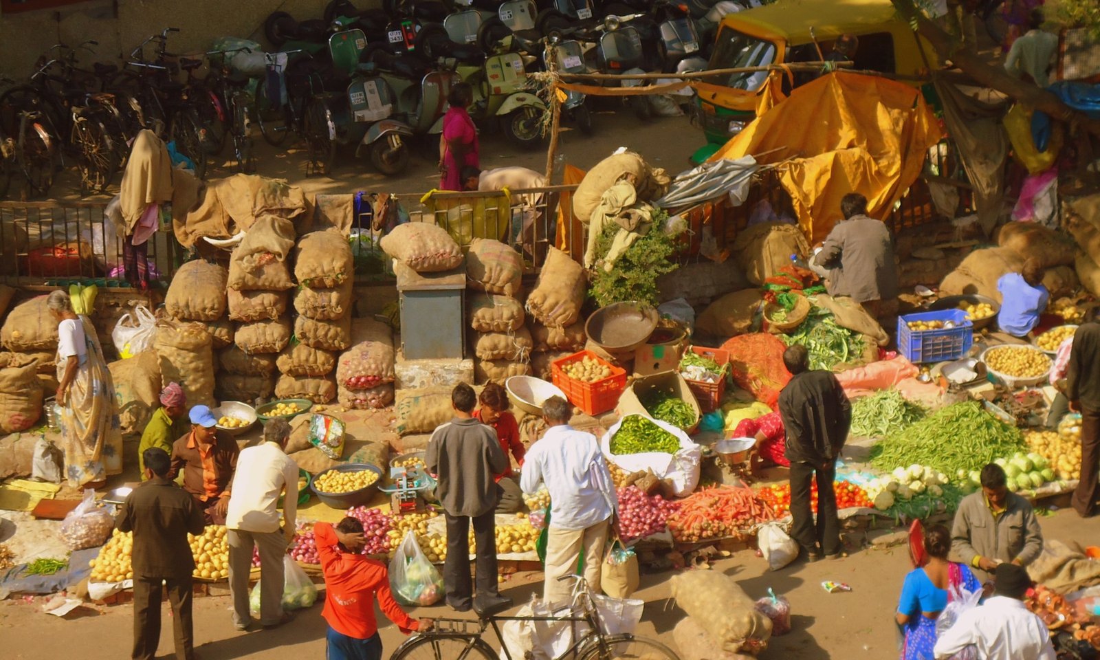 Mandis to Remain Open on Holidays in Interest of Maize and Soybean Farmers